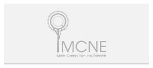 MCNE Logo